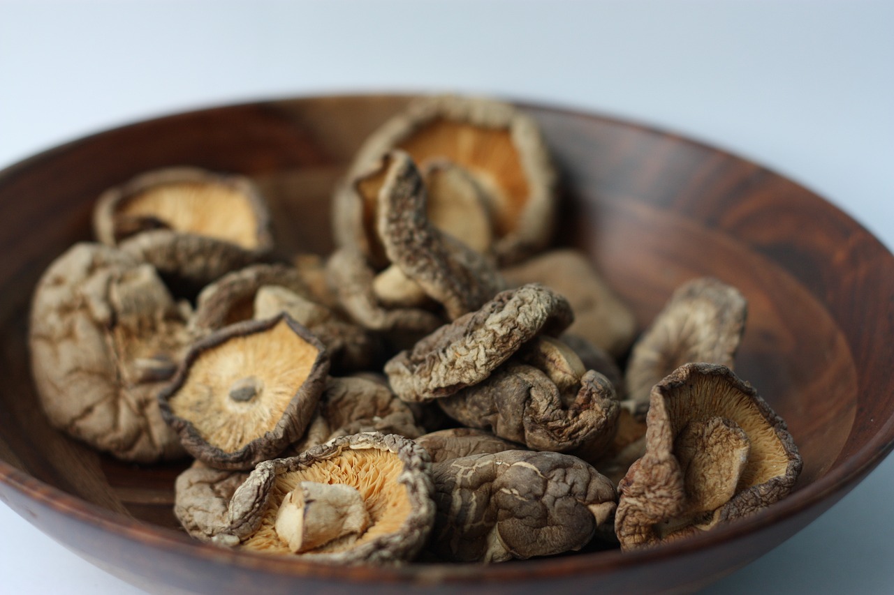 shiitake-5817764_1280
